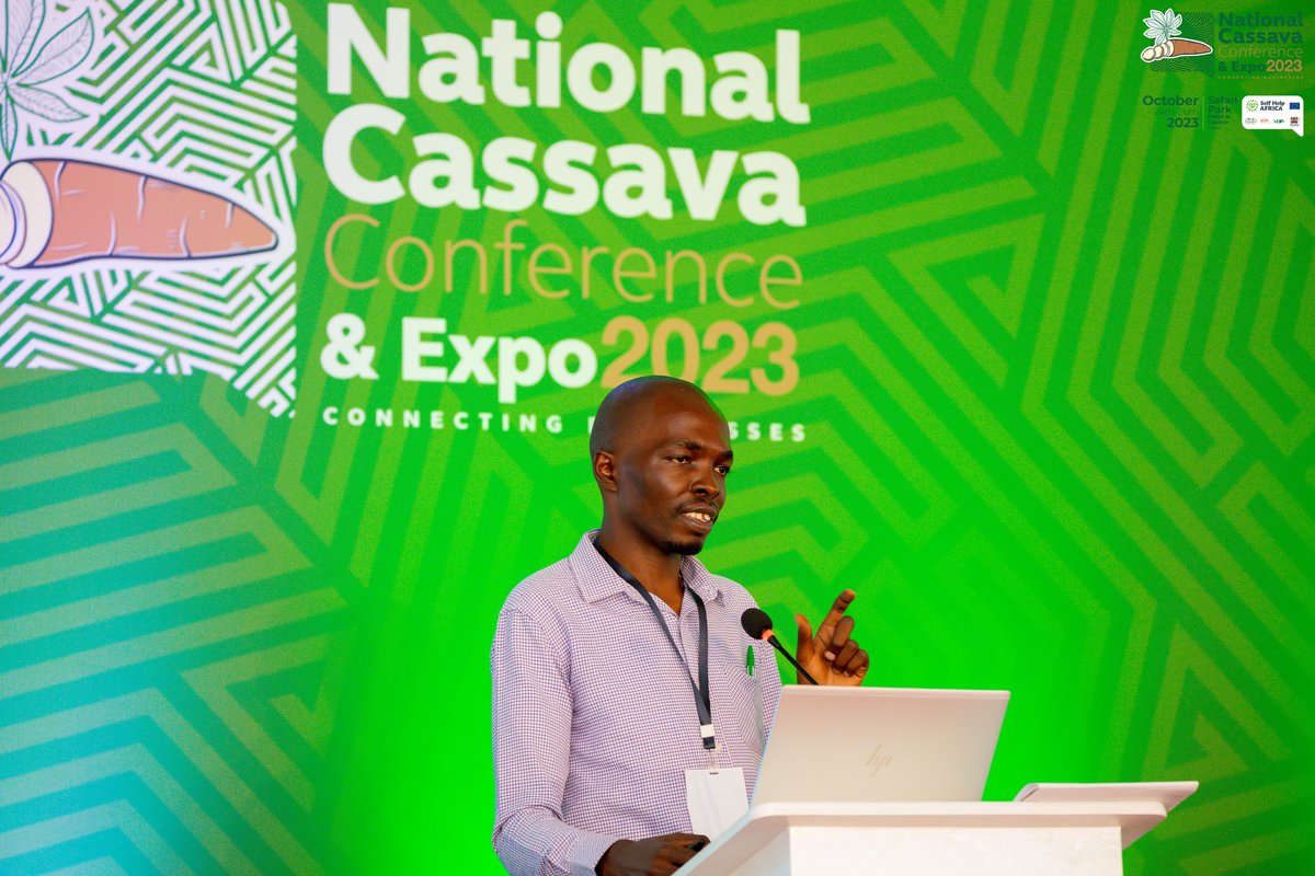 NationalCassava's tweet photo. Cassava is a catalyst for economic growth. 
Cassava is an engine driving progress.
Watch us here: https://t.co/MCFEYzSCPZ 

#CassavaCon #CassavaExpo2023 #NationalCassavaCon #CassavaIndustry #Kenya #Agriculture #FoodSecurity #EconomicDevelopment https://t.co/91W0Ym47SE