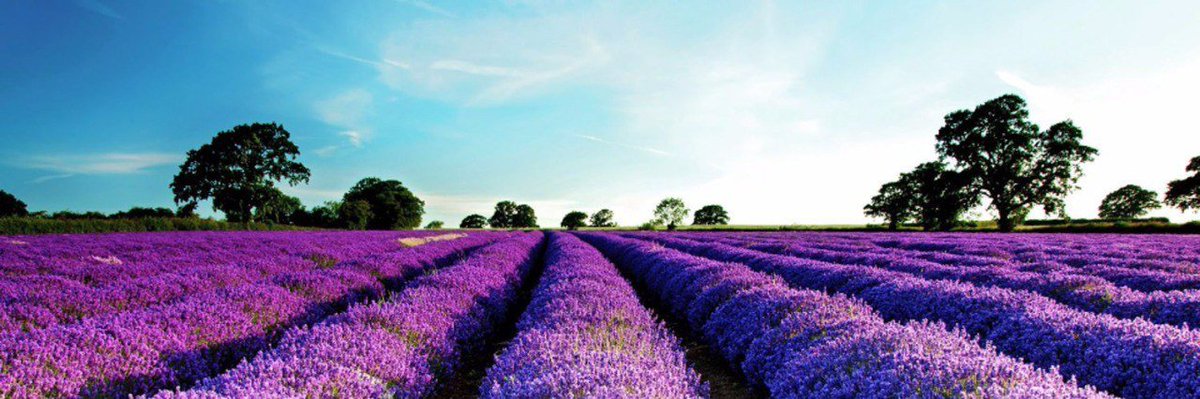 The sun is surrounded by thin clouds, emitting a faint dazzling white light
