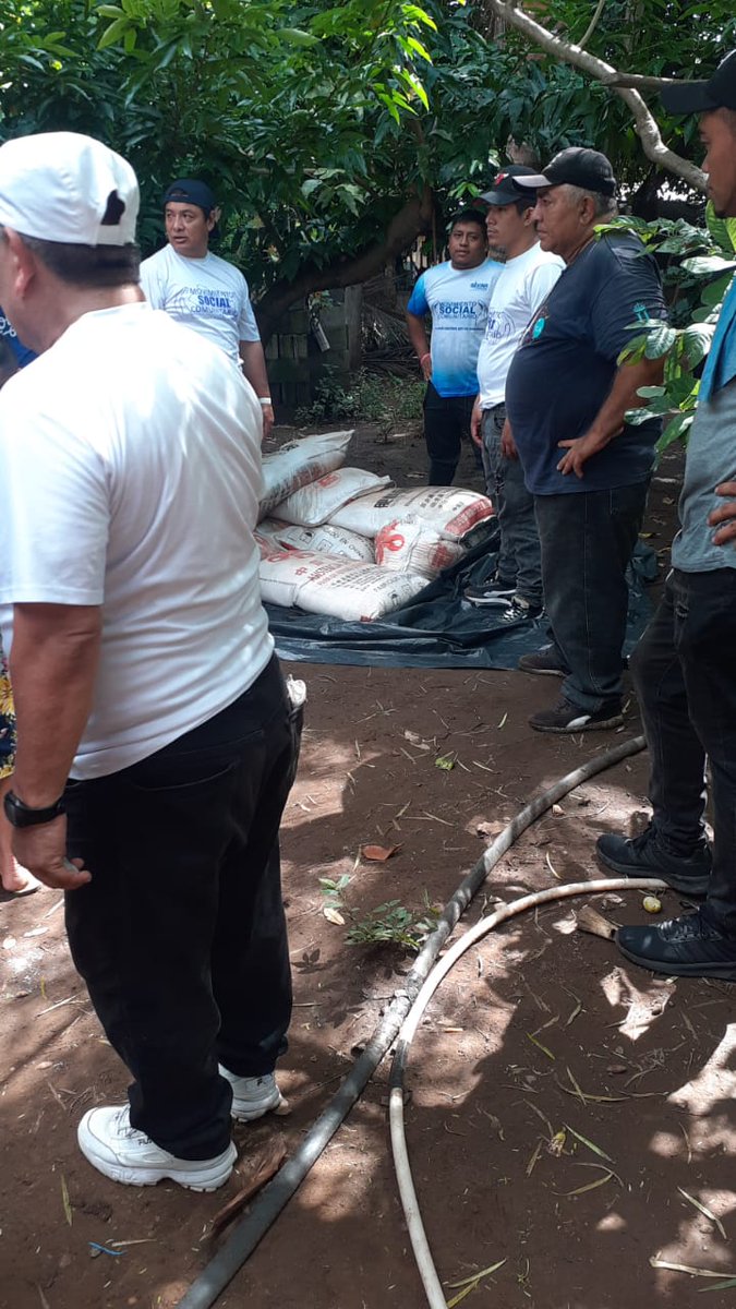LaboralMls's tweet photo. El M.L.S. con su Coordinadora Regional Reyna Quintanilla  beneficio a sus Sindicatos Agricolas en las Comunidades Sagrada Familia, la Bocanita, Puerto Caballos de Jucuaran Usulutan  con Abono con el apoyo del Señor Ministro de  Trabajo Rolando Castro y el MAG el 17 y 24 de Oct/23 https://t.co/U3fPWBG0T7