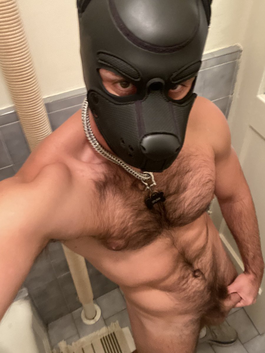 Pup_Spunk_69's tweet photo. Retweet if you’d be on your knees. 😈 https://t.co/1XH1ul78xj