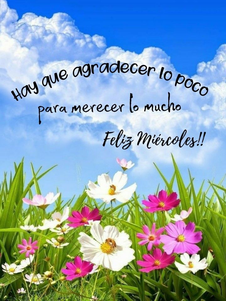 Feliz Miércoles!!! Bendiciones Para Todos🌻