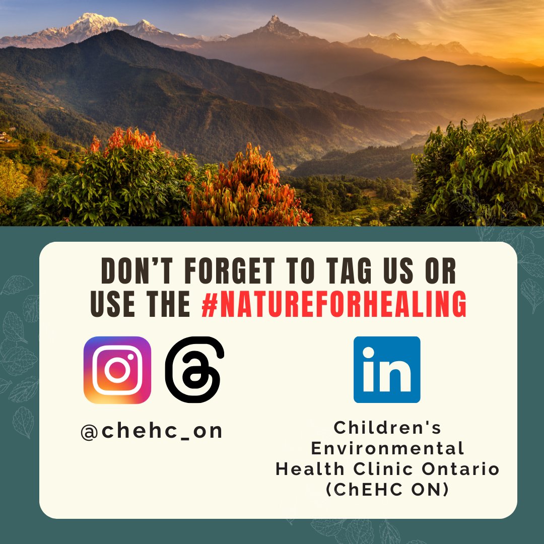 November can be grab. Join the Nature challenge &amp; share your experience!

Side effects may include increased activity, feelings of connectivity and improved wellbeing. Please consult your doctor and report your experience in nature.🪻🌹🌷
<a href="/bcparksfdn/">BC Parks Foundation</a> <a href="/Melissa_Lem/">Dr. Melissa Lem</a> <a href="/ForOurKidsCAN/">For Our Kids</a>