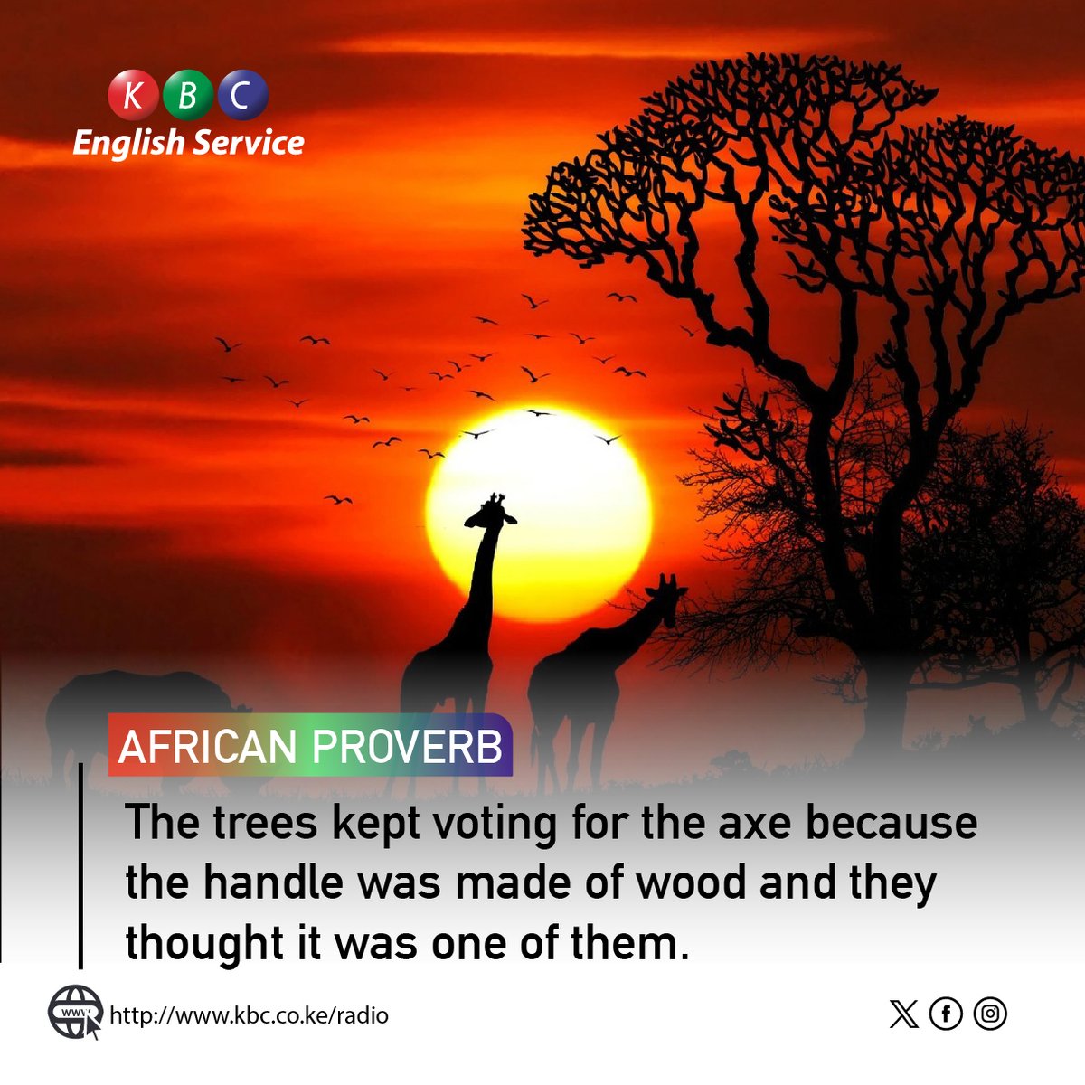 Today's Proverb; The trees kept voting for the axe because the handle was made of wood and they thought it was one of them. ^PMN #KBCEnglishService