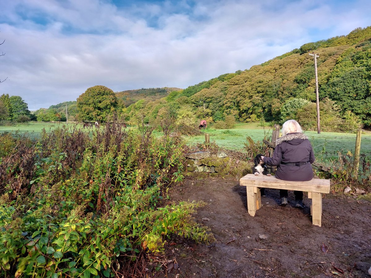 FOGrimescar's tweet photo. We put a new bench up today! It’s on the bridle way we are working with @KirkleesCouncil to look after. Perfect for a stroll along @SlowWaysUK https://t.co/bD6oNmBUIP