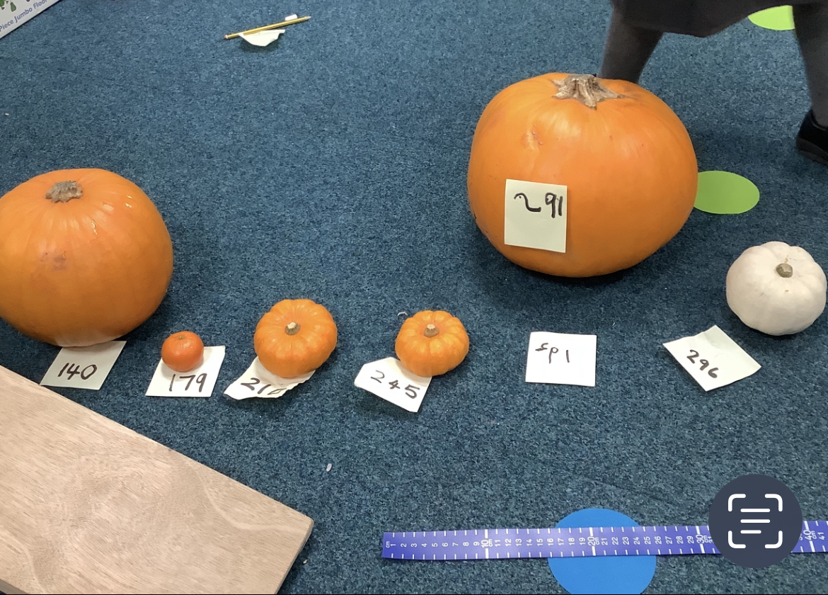OldcastleSchool's tweet photo. Year 1 have been creating rockets and launching pumpkins to measure distances for #discoveryweek! https://t.co/lin1bvTpBd