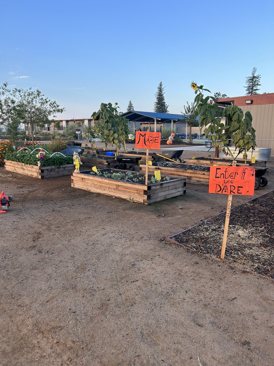 Dolores S. Whitley School tweet media