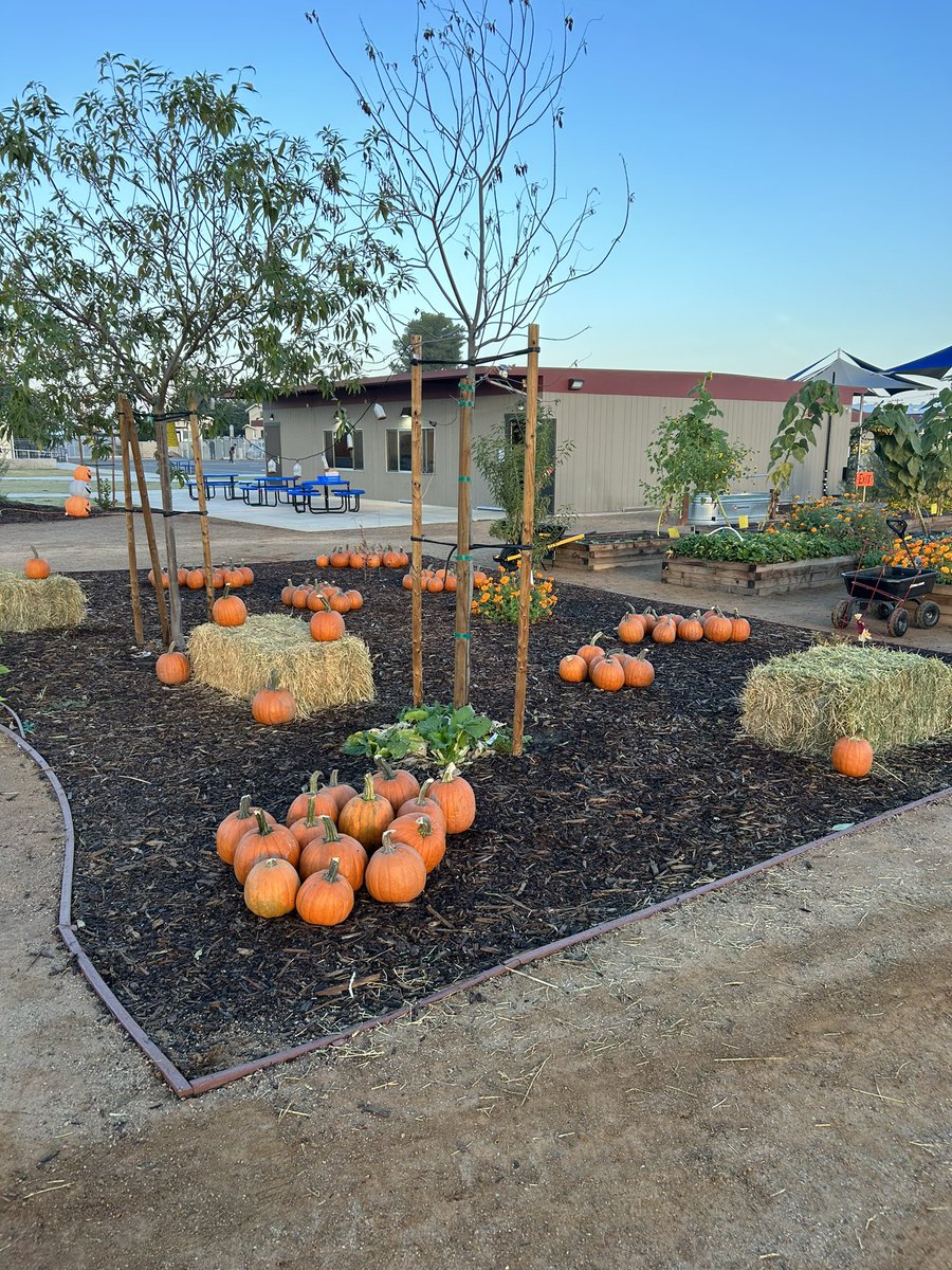 Dolores S. Whitley School tweet media