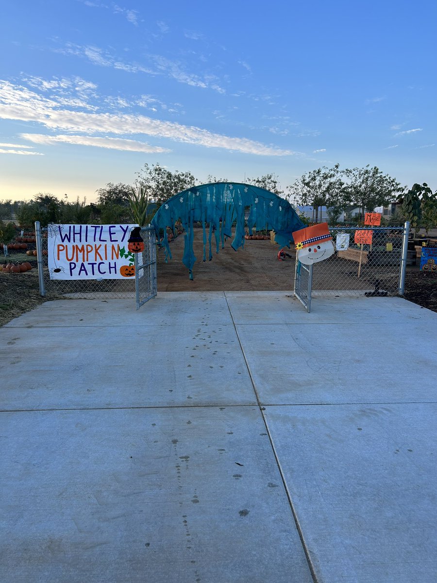 Dolores S. Whitley School tweet media