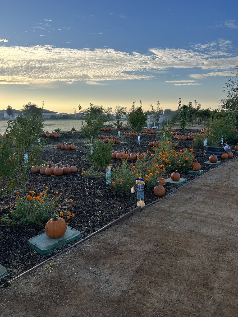 Dolores S. Whitley School tweet media