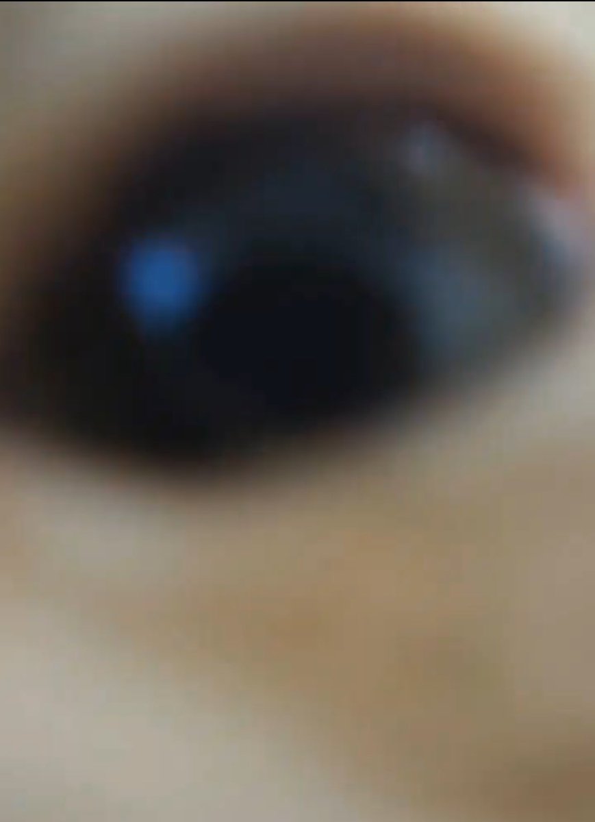 leeknow                                soonie

😭😭😭