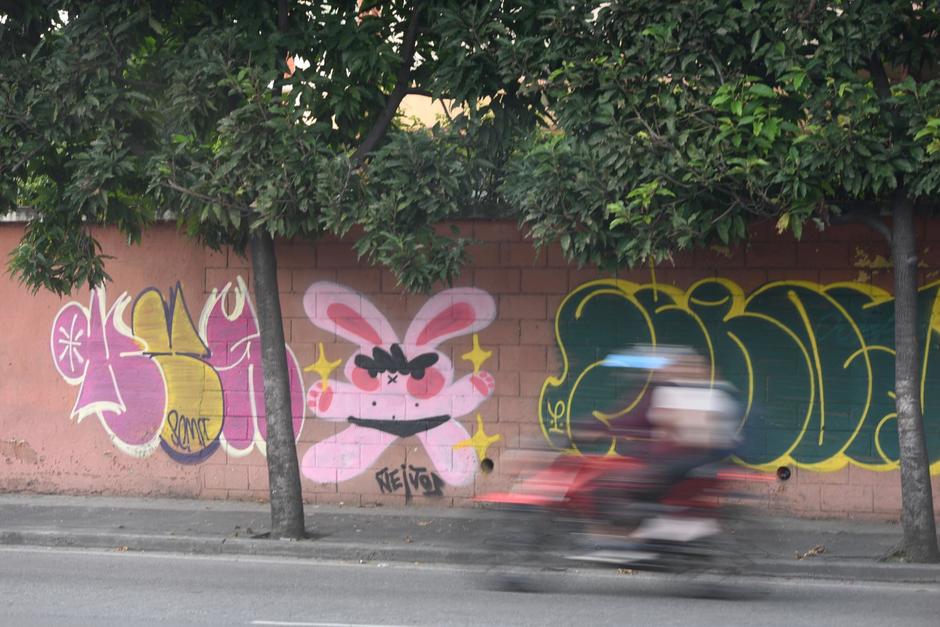 🐰GRAFITI | ¿Has visto un "ñejito"? Esto debes hacer cada que vez que aparezcas frente a uno  

bit.ly/3QvDeAA