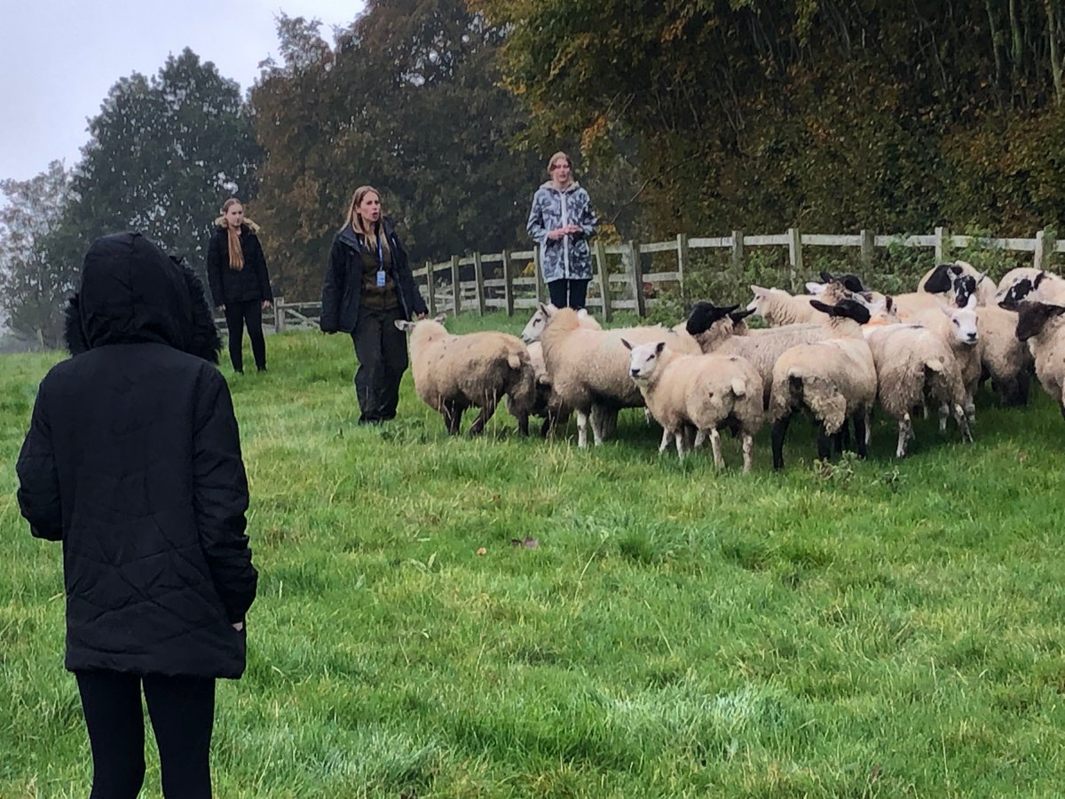 NCEA_Sixth_Form's tweet photo. What a fantastic day we have had @northlandcoll Kirkley Hall today! Our Y10 &amp; 11 students interested in animal care have experienced working in a zoo &amp; on a farm @NCEAdukes https://t.co/5ZYdwjEXnc