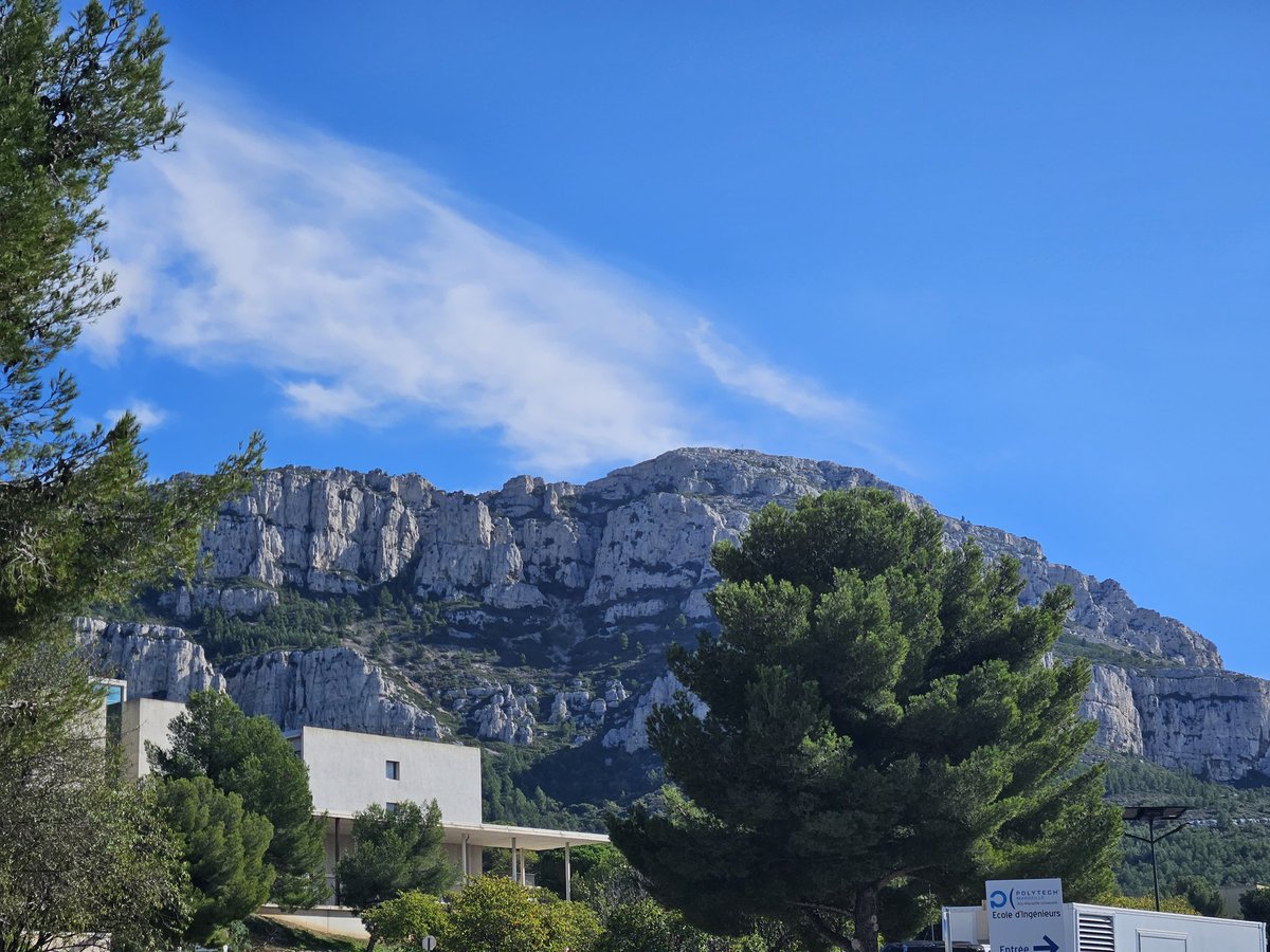 Claire Adams tweet media