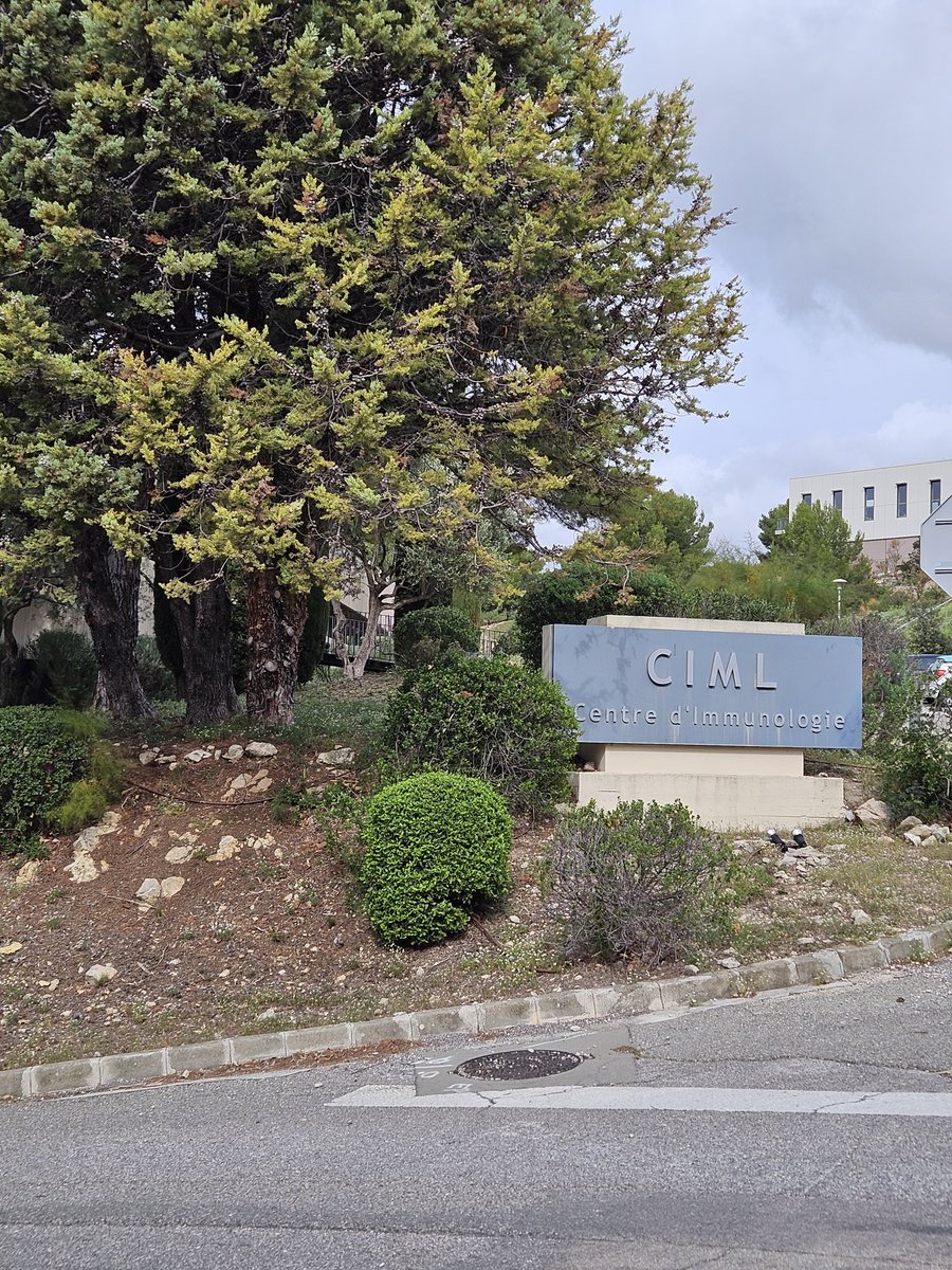 Claire Adams tweet media