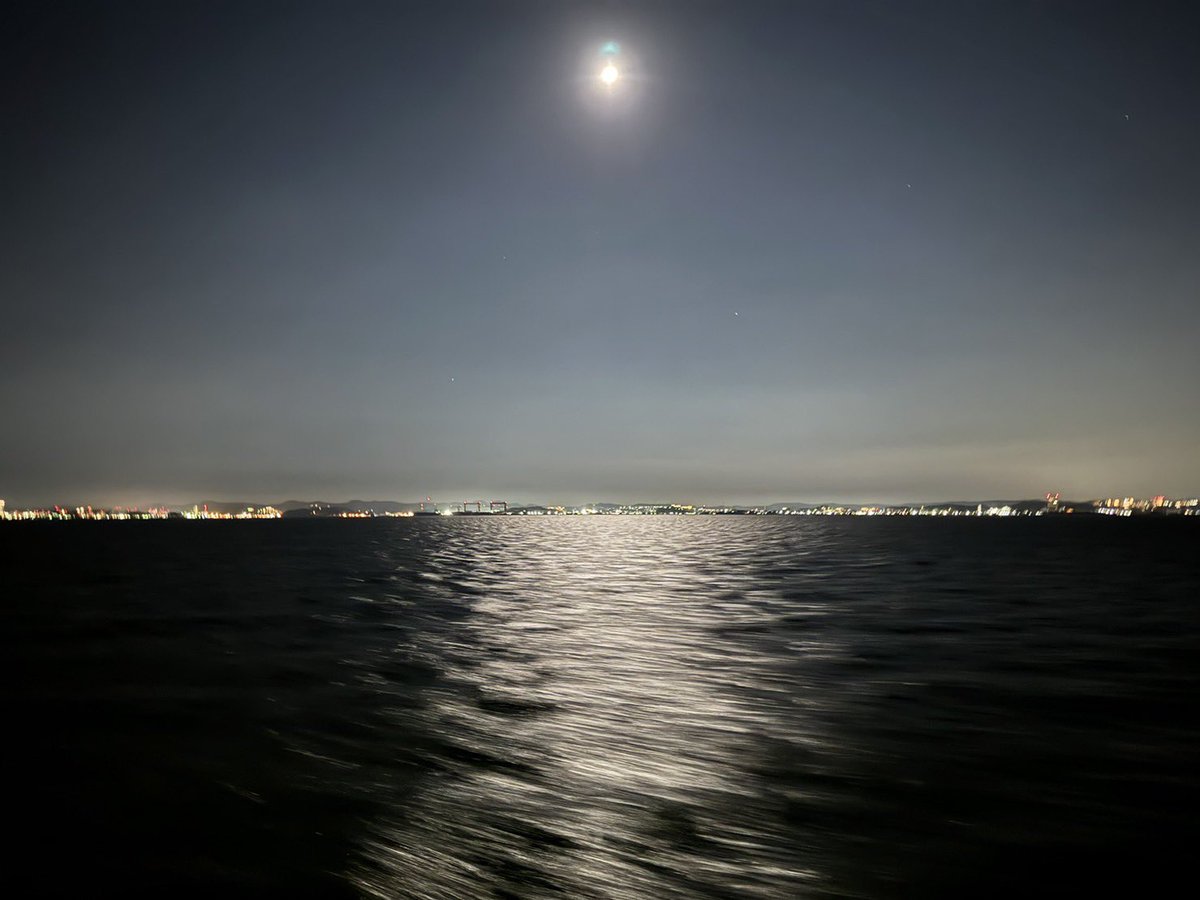 Gacci@Amiliyah🍙 tweet media