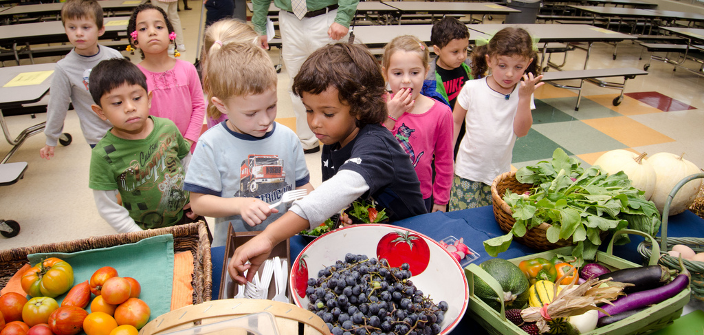 USDA's tweet photo. School is back in session! Learn about child nutrition and the important role of community and school gardens to make healthy food accessible for all children from @USDANutrition. Sign up for this month’s #PeoplesGarden webinar on 10/26 ➡️ https://t.co/KEsv4khbeB https://t.co/9fxLMFR0ua