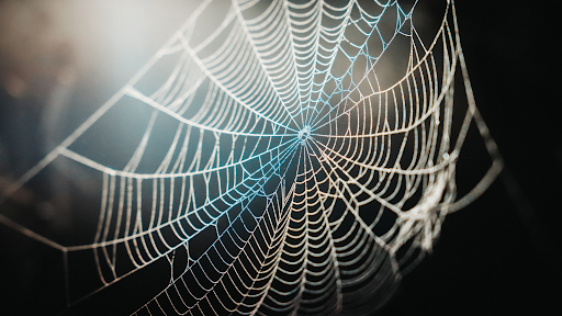 NOAANCEI's tweet photo. This #Halloween, you won’t find more accurate climate data on the web 🕸️ than on our site! Skitter over there for information about our country’s weather patterns this month: https://t.co/aNNcCgSbMr #NOAASpookyScience https://t.co/YwUKirYSdW