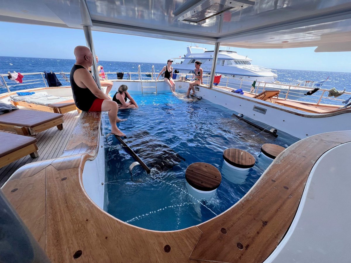ScubaverseMedia's tweet photo. Scuba Scene... the luxury Red Sea liveaboard that sets the standard:
https://t.co/91dZTxX1im
#ScubaScene #RedSea #Egypt #liveaboard #trip #travel #holiday #vacation #ElkeBojanowski #AhmedFadel @OysterDiving https://t.co/B4jRLNgfGl