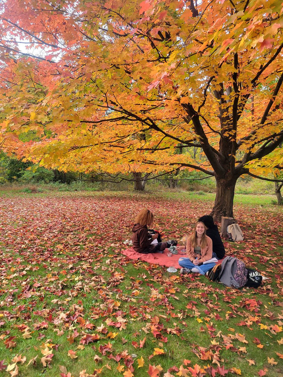 Jessica Powell tweet media