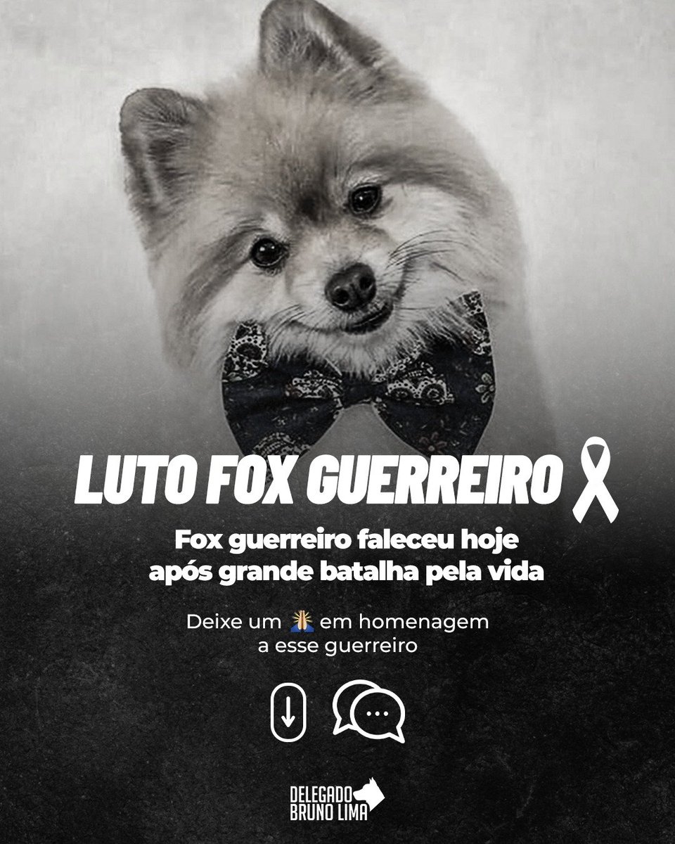 😢 Hoje o Fox Guerreiro nos deixou, mas a sua luta não pode parar. Não vamos parar de latir!! 

E esse absurdo não ficará impune! Vamos honrar sua memória 👊🏼

Que você descanse em paz, Fox 🙏🏻