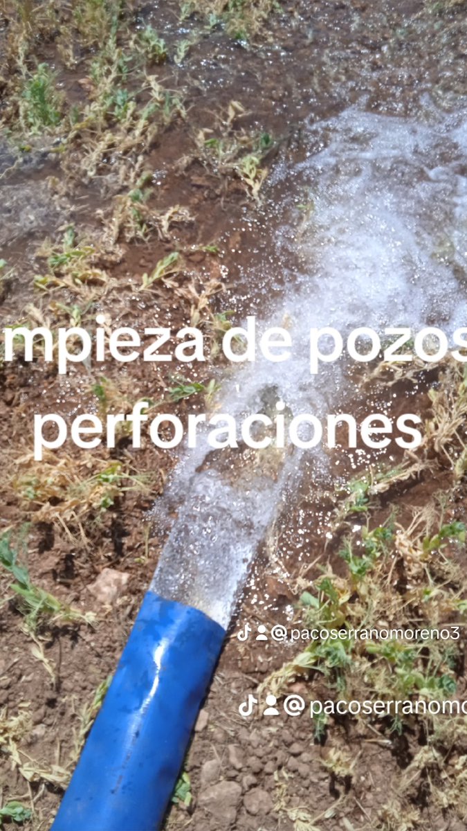 Paco Serrano moreno (@pacoserranomor1) on Twitter photo 