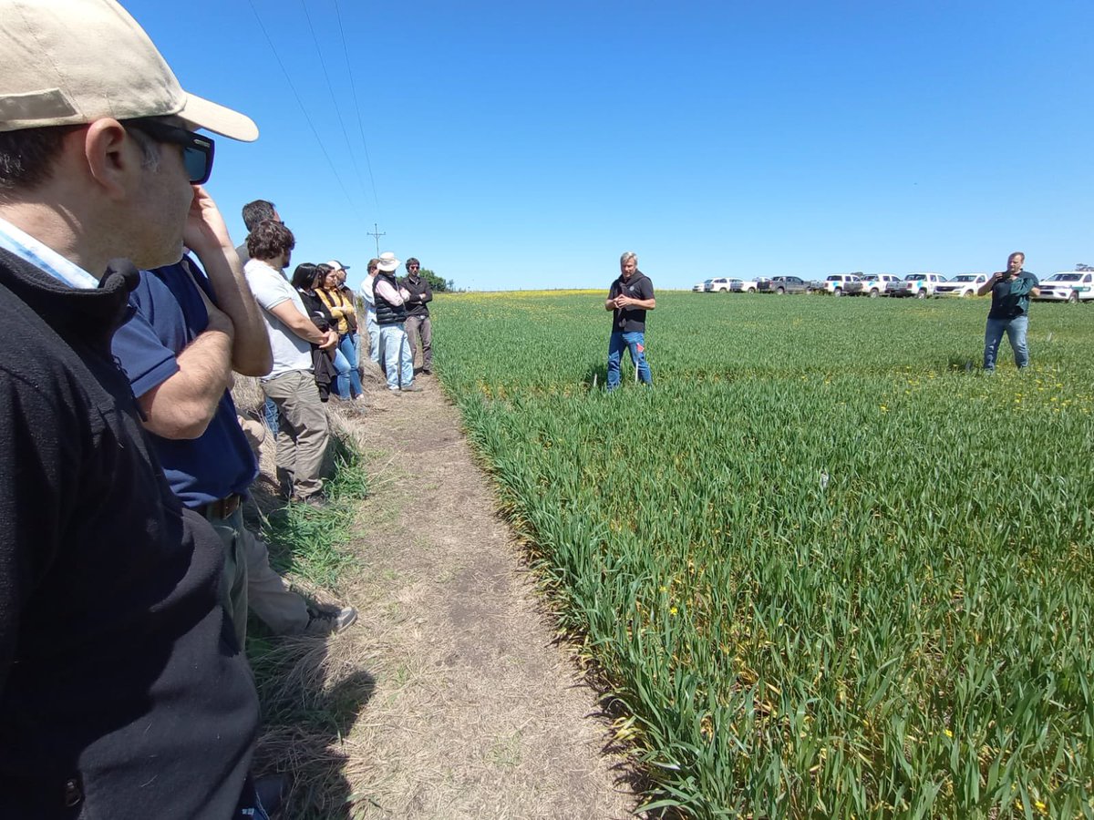 Recorrida del ensayo #MatenoPlus <a href="/AgroBayerAR/">Agro Bayer</a> en Gardey 📍

Excelente jornada junto a <a href="/Rolobidegain/">Rolo</a> y <a href="/TelecheaFacundo/">Facundo Telechea</a> 🙌

#somosschang #somosequipo <a href="/RaulojMartin/">Raul Martin</a> <a href="/tito05_/">Tito Morales</a> <a href="/fernandez_riky/">Ricardo Fernandez</a> <a href="/RigottiGerman/">German Rigotti</a> <a href="/Rafael_Lopez_27/">Rafael Lopez</a>
