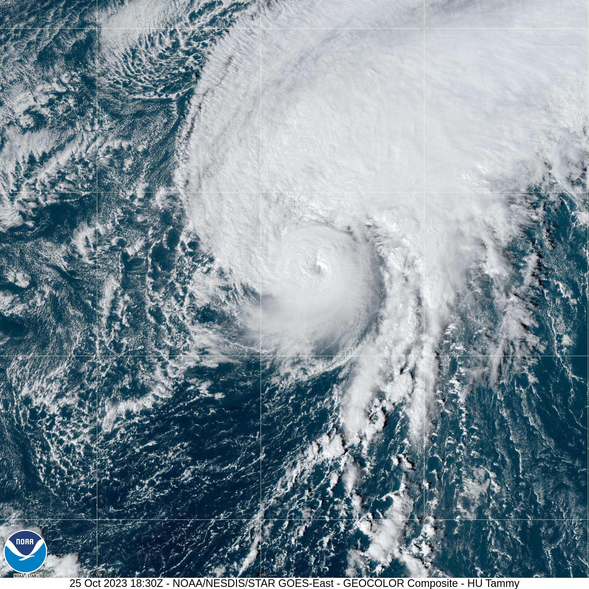 POST-TROPICAL CYCLONE TAMMY