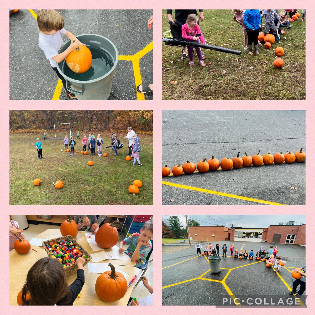 Estimating, Measuring, Counting, Weighing, Ordering and Describing our Pumpkins during our Gr 1/2 Investigation #TakeMeOutsideDay #TheLandWeLearnFromTLDSB <a href="/TLDSB/">TLDSB</a> <a href="/TLDSB_Pathways/">TLDSB Pathways</a> <a href="/tldsbmath/">TLDSB Math</a> <a href="/CurriculumTldsb/">TLDSBCurriculum</a> <a href="/MacaulayPS/">Macaulay PS</a> <a href="/TLDSB_EY/">TLDSB_EY</a>