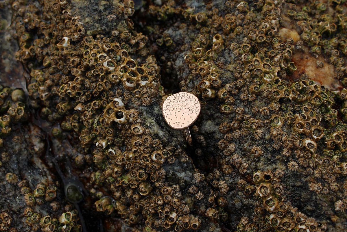 ruthamorrison's tweet photo. Gold Rock Pools Rings
#handmade #handmadegold #gold #goldring #rockpool #beach #coastal #coastaljewelry #outerhebrides #scottishbeach https://t.co/3LthyYv6AO