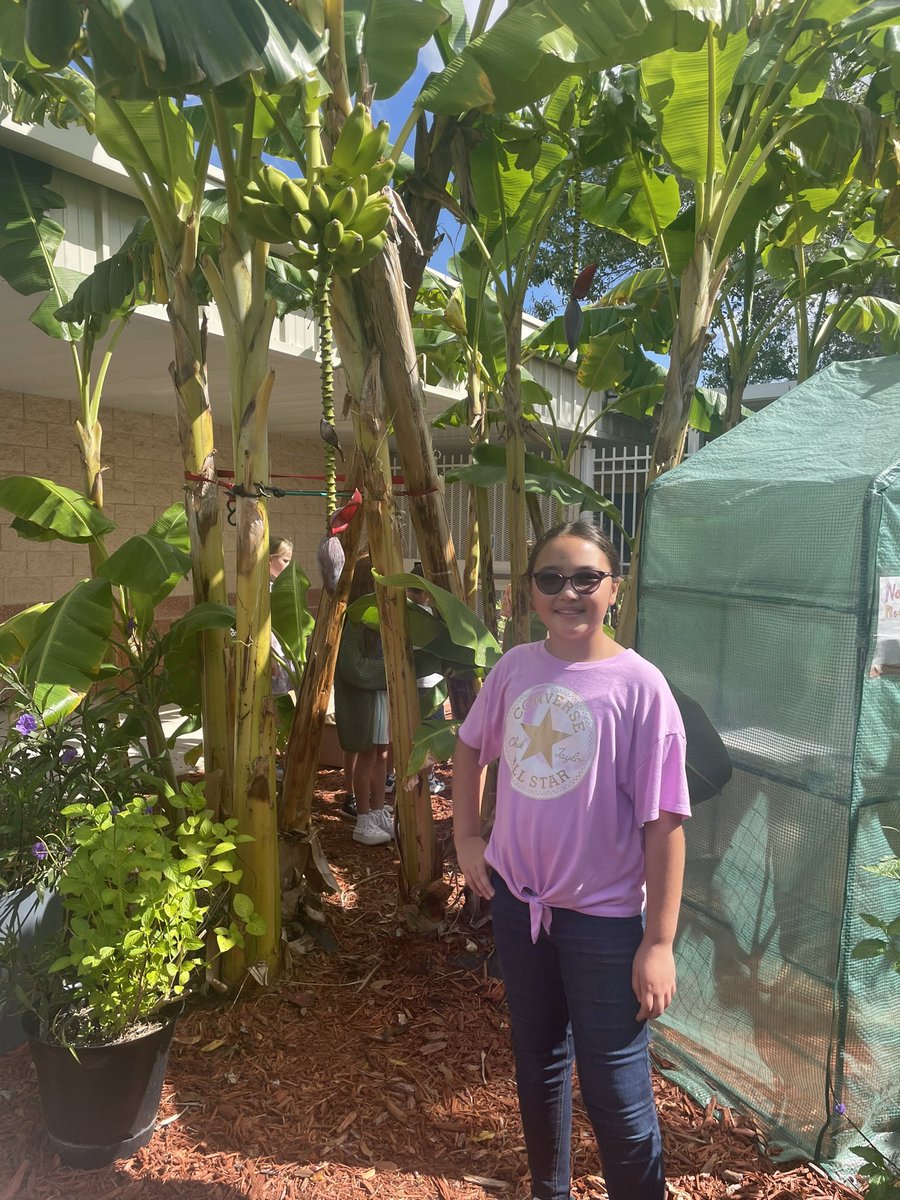 Meriwether Barry tweet media