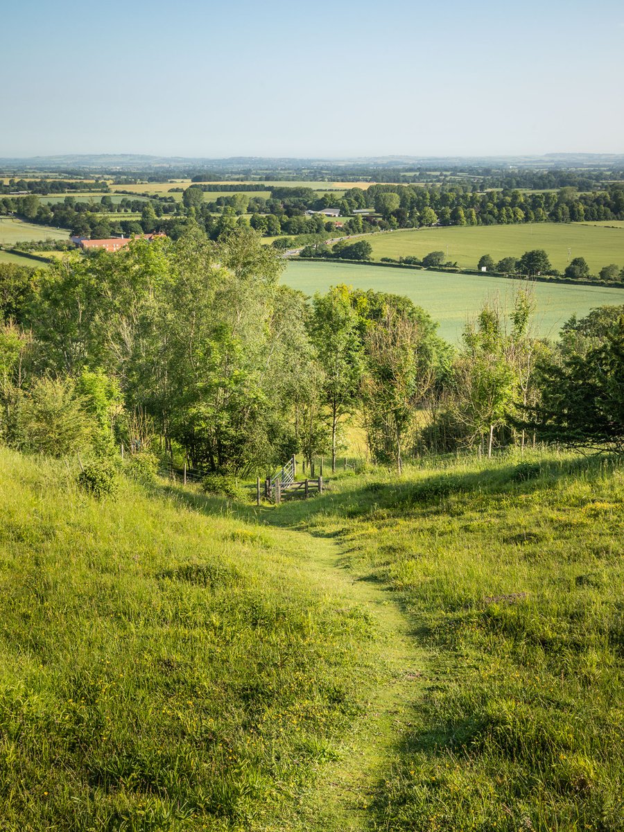 We're delighted to welcome Dr Gemma Harper OBE, Prof Simon Mortimer, Cllr Jane MacBean & Cllr James Norman as the newest appointees to our Board. Hear what they had to say & find out how they will contribute towards enhancing & protecting the #Chilterns: bit.ly/3Q5QrPd