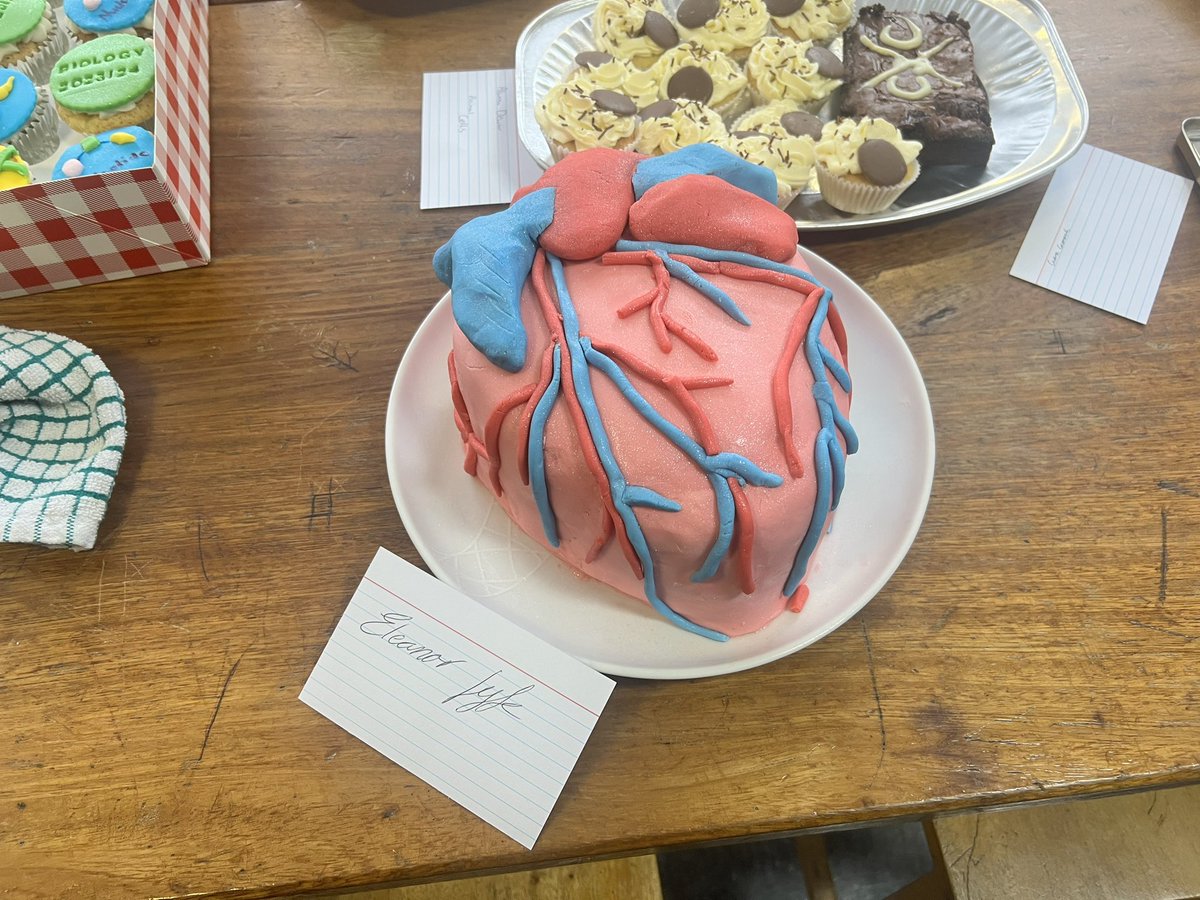 MissLockhart312's tweet photo. Sixth form biology bake off for #BiologyWeek went down a treat. The brains were delicious https://t.co/FJctFXGgHt