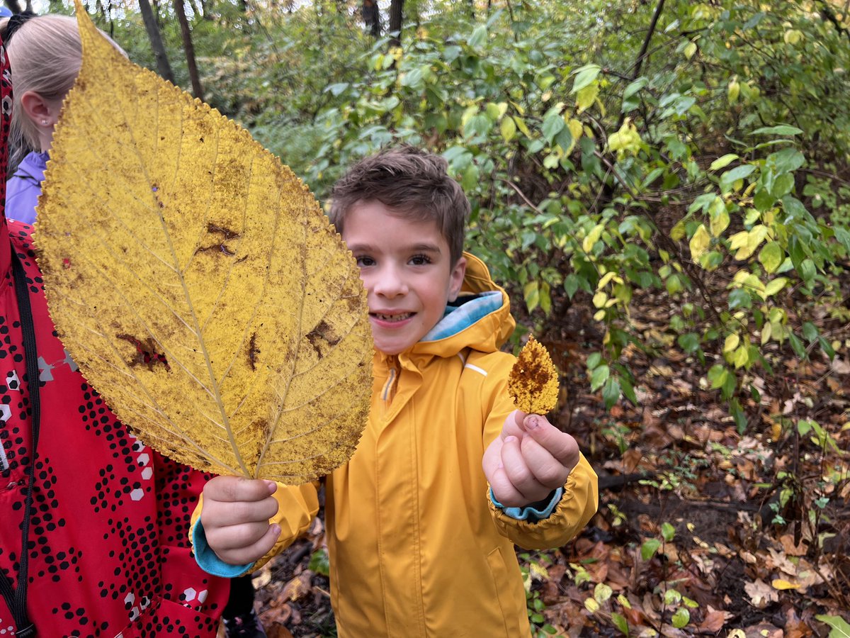 OwlclassS's tweet photo. OWL students ventured to Schlagle Library today in preparation for our Battle of the Brains project (Builders of the Wild) and learn more about animal engineers in our local habitats. #204BravesPride https://t.co/i6rPSwwNFG