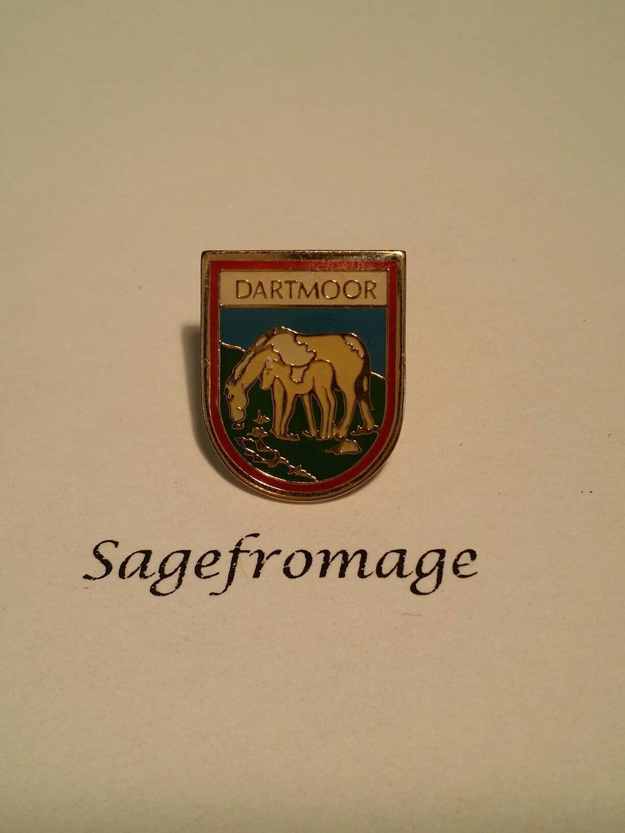 arlissbryant's tweet image. Dartmoor Pin tuppu.net/9be7e05 #Etsy #sagefromage #PinBackButton
