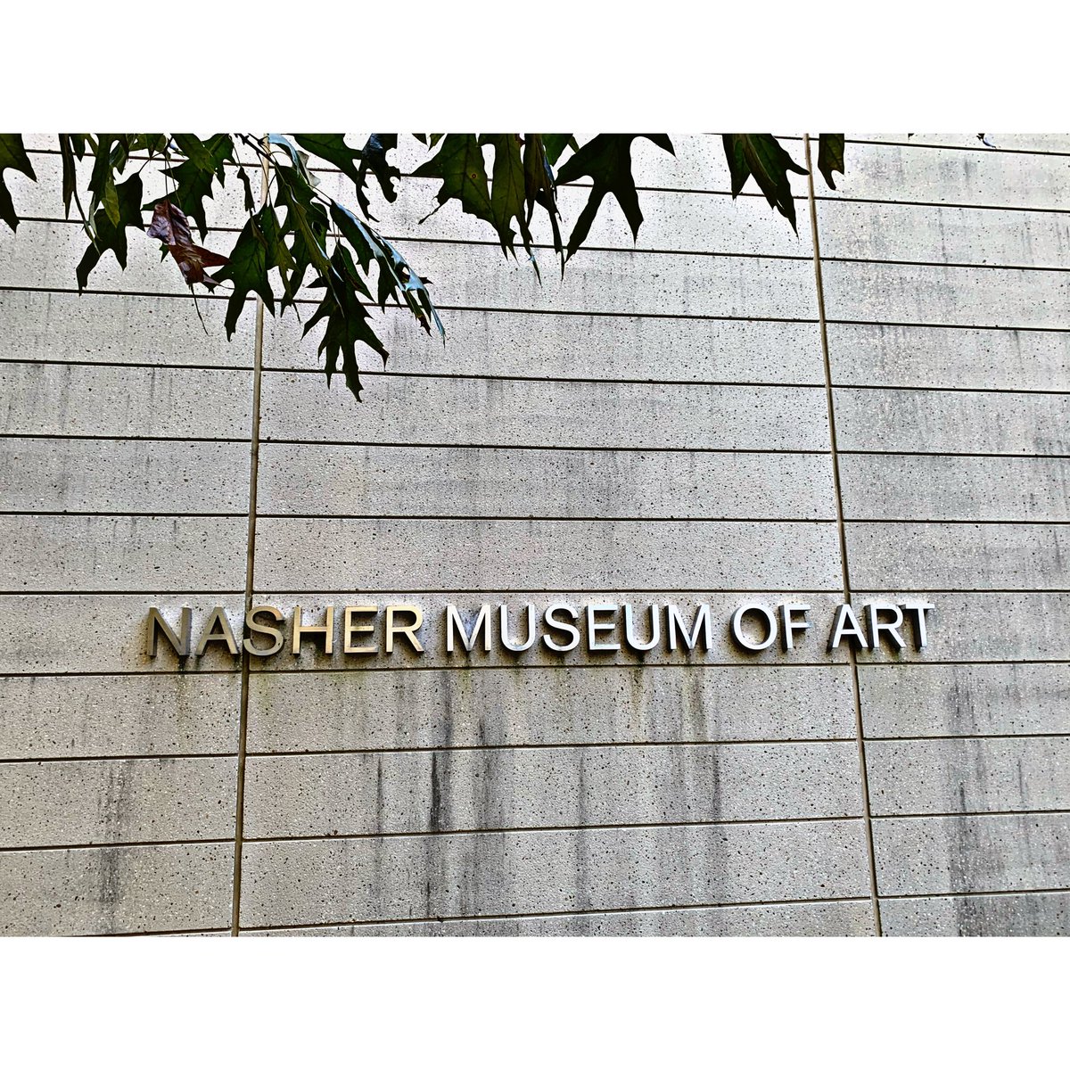 lilali1992's tweet photo. 2023 Nasher Museum of Art 🖼️ https://t.co/1nxYFaVYXn