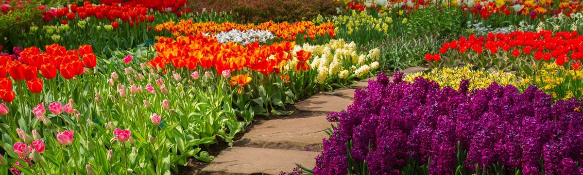 LawnNLandwriter's tweet image. 🌳Landscapers, streamline your biz with QuickBooks 2023!🛠️
Dive into our review to see how it makes invoicing and record-keeping a breeze.💰📊
👉Read more:  buff.ly/3tGJXi1 
#QuickBooks2023 #Landscaping #Invoicing