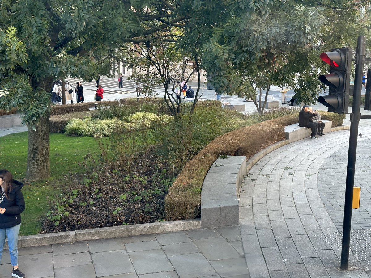 GunningAnne's tweet photo. An example of how box blight can ruin a public ornamental display. Seen in London. The brown hedge should be evergreen Buxus sempervirens.  Taxis baccata ‘Repandens’ is a good substitute. Unit 1 topic 2 and 4 plant selection and garden health https://t.co/D5VJqAm1zV