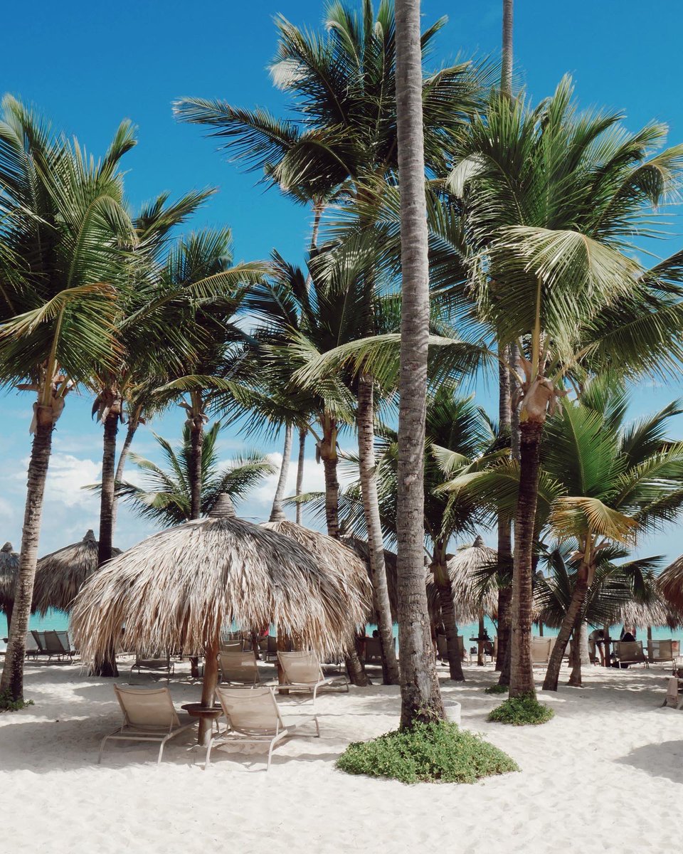 carlasifer__'s tweet photo. Primera jornada en Bábaro 🩵
#babaro #playababaro #puntacana #republicadominicana #republicadominicana🇩🇴 #playa #trsturquesahotel #trs https://t.co/w8Bjf6Z4DW