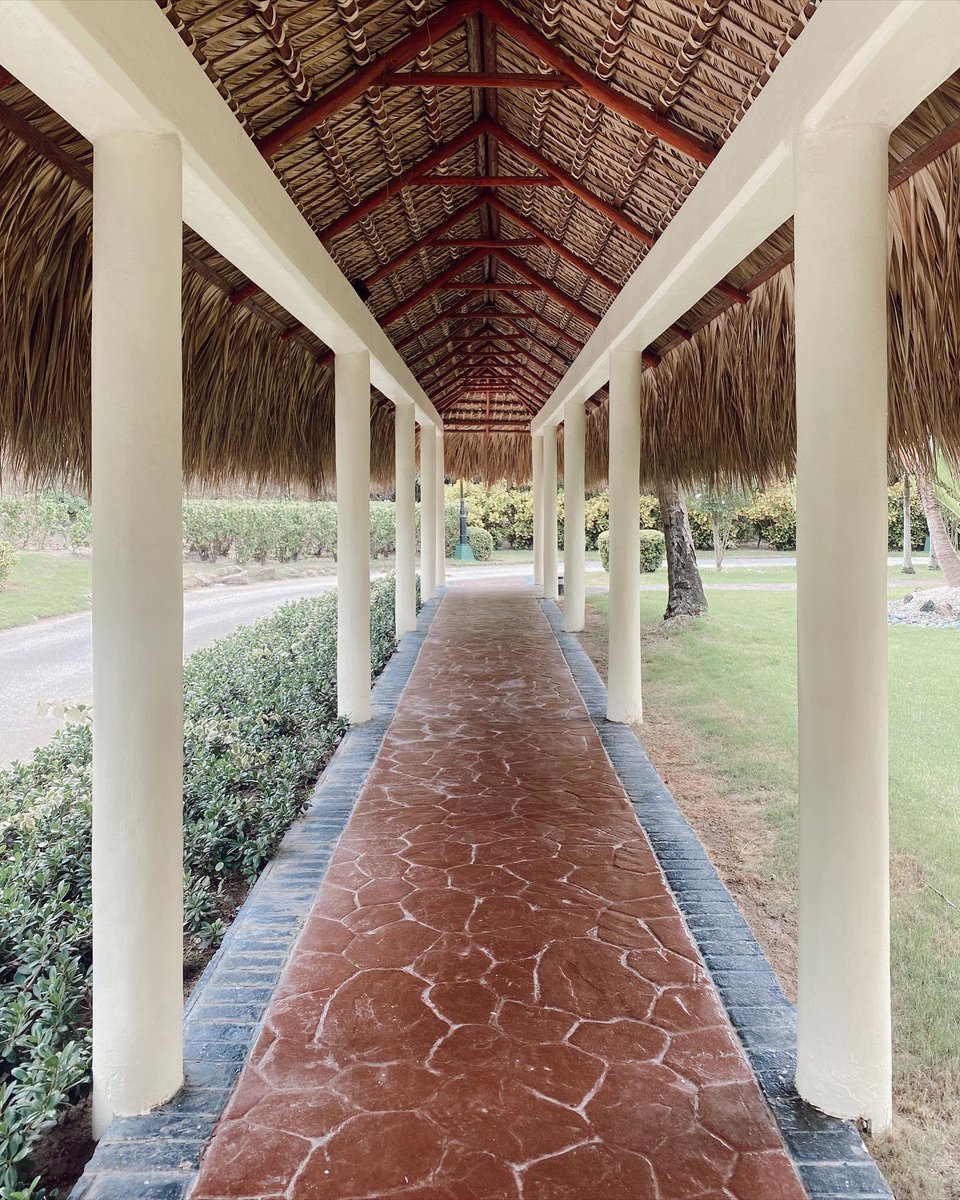 carlasifer__'s tweet photo. Primera jornada en Bábaro 🩵
#babaro #playababaro #puntacana #republicadominicana #republicadominicana🇩🇴 #playa #trsturquesahotel #trs https://t.co/w8Bjf6Z4DW
