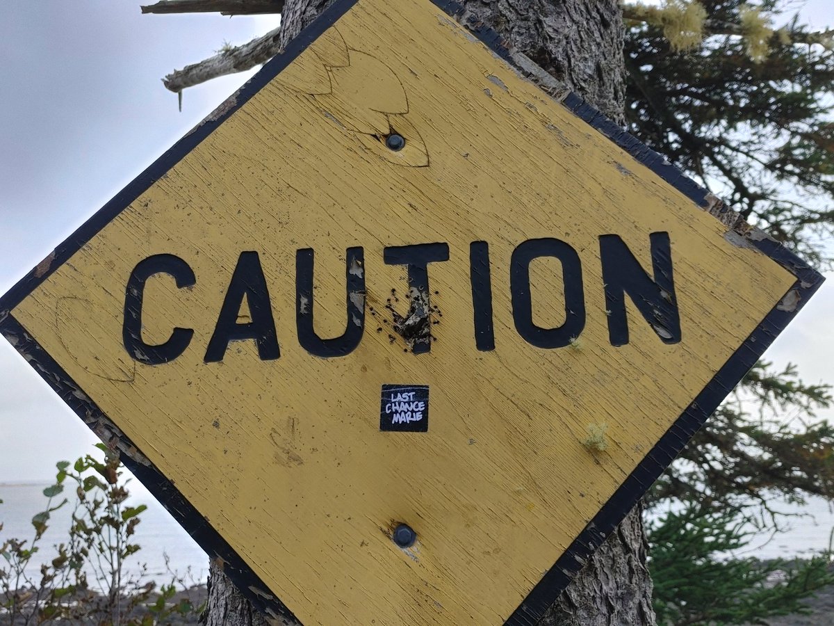 Last Chance Marie (@lcmband) on Twitter photo 