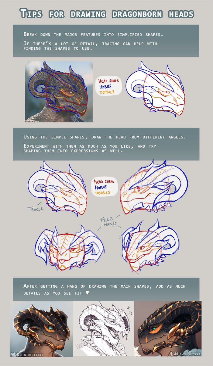 I've been asked about tips for drawing dragonborn several times so I thought of doing a simple graphic for it 🐲 I hope you'll find this helpful!! Keeping the base simple makes it easier to add details on it ✨