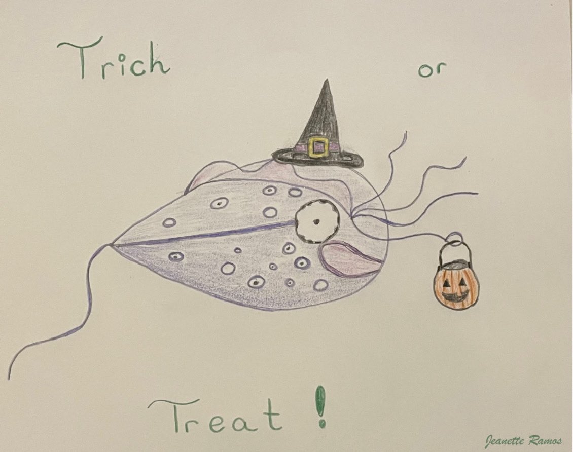 Glenn Murray tweet media