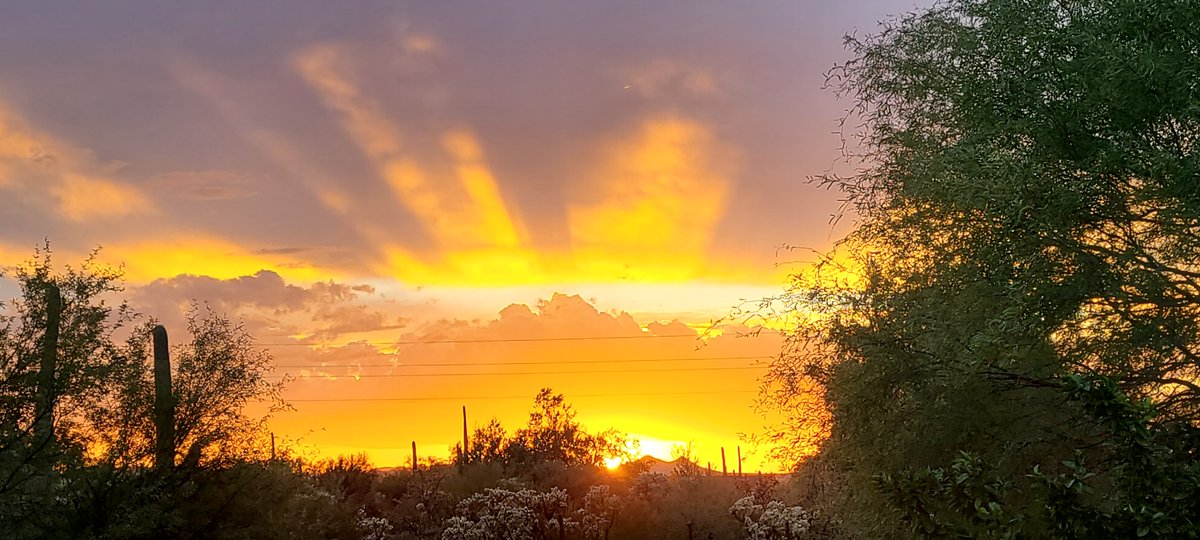 This last night. #wild_tucson #tucson #arizona #az #arizonaphotographer #arizonaliving #tucsonaz #tucsonarizona #arizonadesert #explorearizona #exploretucson #visitarizona #visittucson #tucsondesert #offthegrid #nearnature #withnature #thisistucson #sunset #clouds #sky