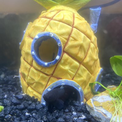 MrFishybets's tweet photo. My dad bought me a new house because of Suarez and Pfaadts CLUTCH #thankyoupapa #staywinning https://t.co/An4jlostFa