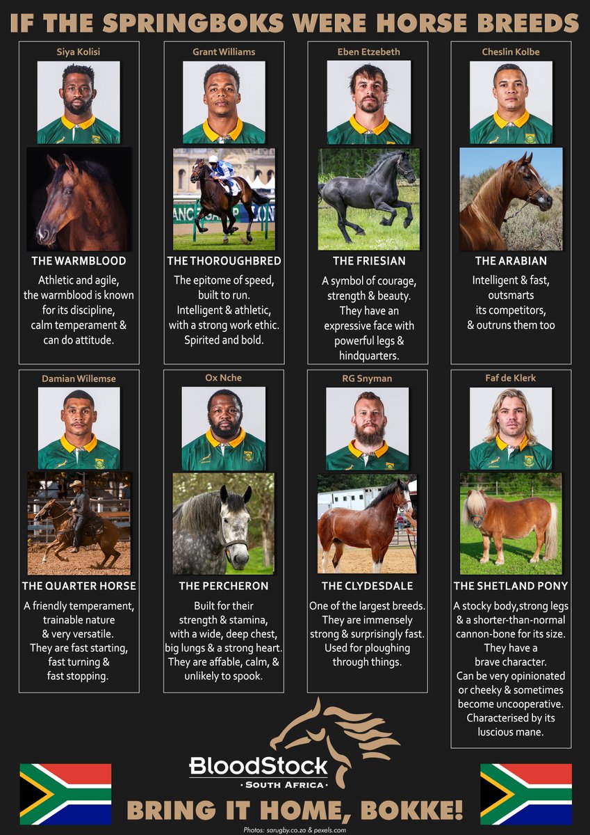 Who's the most fitting, who did we miss out?

🇿🇦🇿🇦🇿🇦🇿🇦Bring it home, boys!