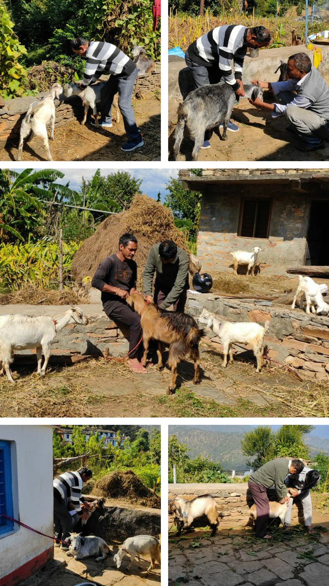 Deputy CVO Bageshwar tweet media