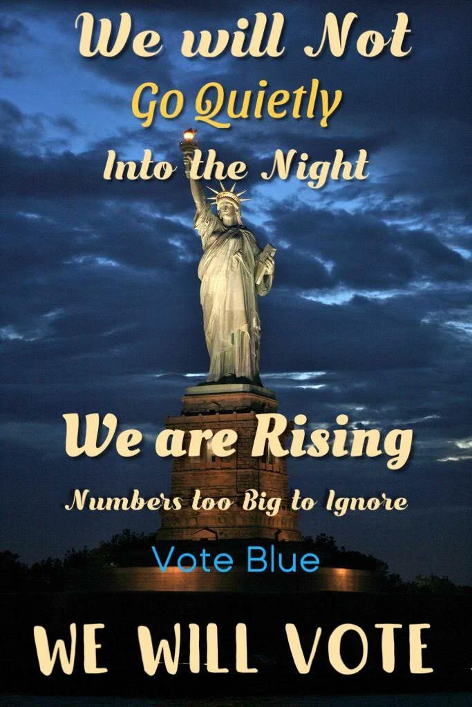 rickie_adey's tweet image. #StrongerTogetherForDemocracy
#VoteBlueToStopGOPMadness