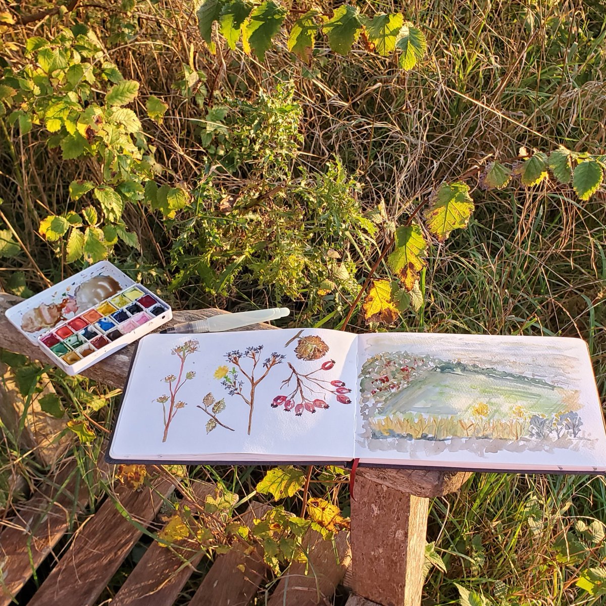 Sketching the autumn at @MagogDown while getting some sun and fresh air. 

#sketchbook #autumn #fall #nature #sketchingonlocation #cambridge #enjoyingnature #tundeart #art #sunshine