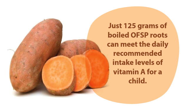 I can relate <a href="/JanLow1/">Jan Low</a> .