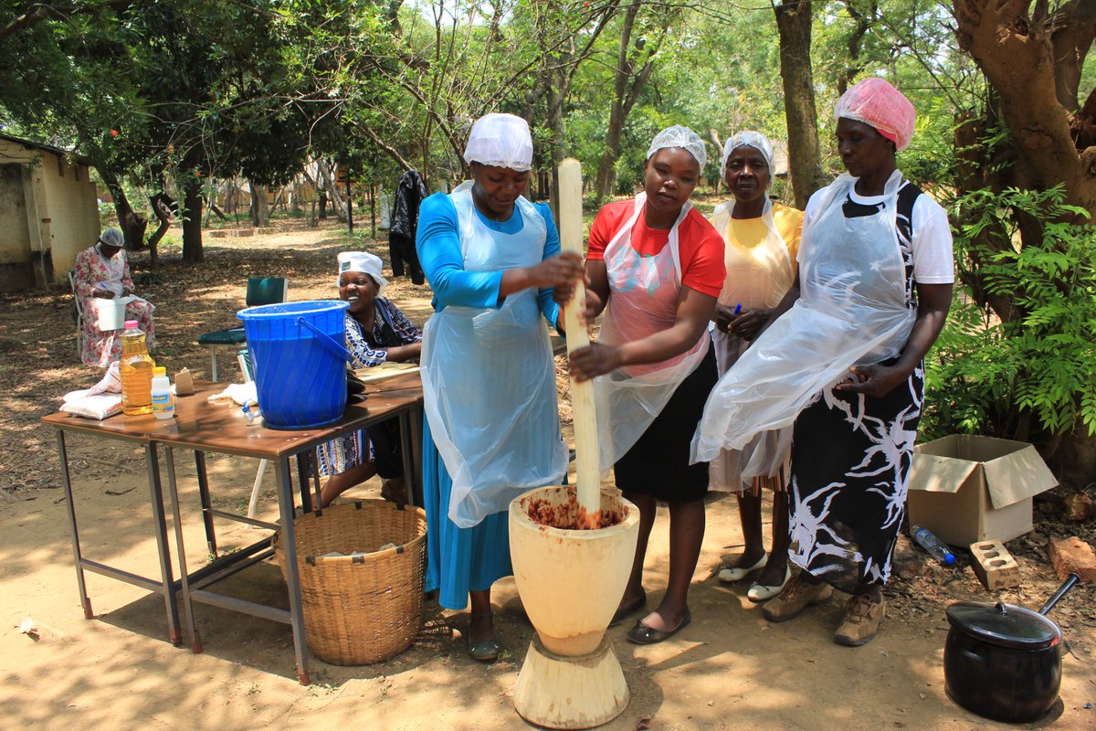 As part of our work to ensure that farmers are equipped with knowledge on food processing &amp; value addition which is a way of reducing post harvest loses &amp; also  improving nutrition value, &amp; shelf life of  products. We are happy to be hosting <a href="/HiHZim/">Human Impact Hub</a>  farmers for a 6 day training